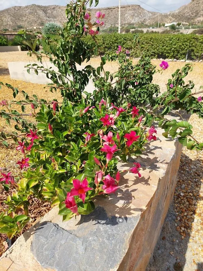 Bed & Breakfast Casa Rural Mas Solana Huercal-Overa